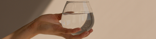 Hosting a Budget-Friendly Wine Tasting with Vino Cheepo: Affordable Good Wines